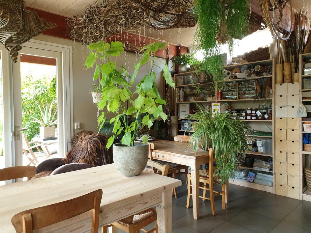 Appartementen Het Oude Atelier Schoorl Extérieur photo